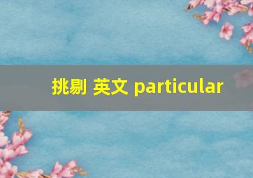 挑剔 英文 particular